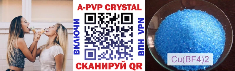 A PVP СК КРИС  Петропавловск-Камчатский 