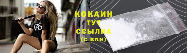 сатива Баксан
