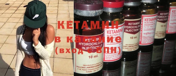 сатива Баксан